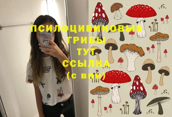 хмурый Верхний Тагил
