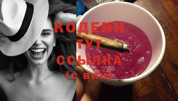 амф Верея