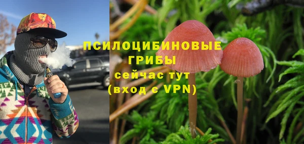 гидропоника Верхнеуральск