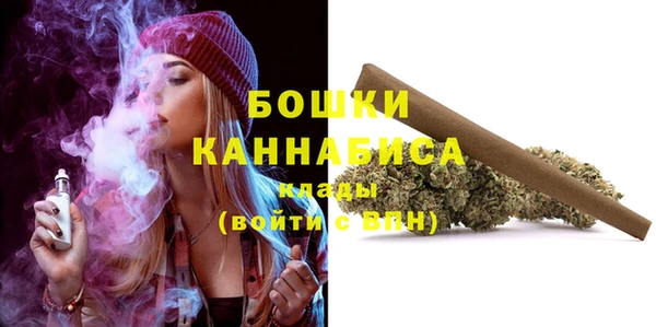 амф Верея