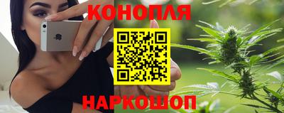 mdpv Краснознаменск