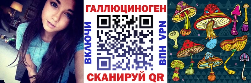 Галлюциногенные грибы GOLDEN TEACHER  как найти закладки  Елец 